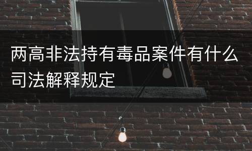 两高非法持有毒品案件有什么司法解释规定