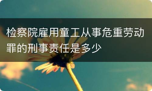检察院雇用童工从事危重劳动罪的刑事责任是多少