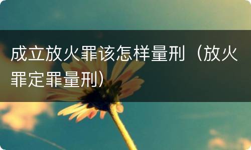 成立放火罪该怎样量刑（放火罪定罪量刑）