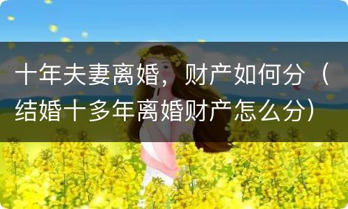 十年夫妻离婚，财产如何分（结婚十多年离婚财产怎么分）