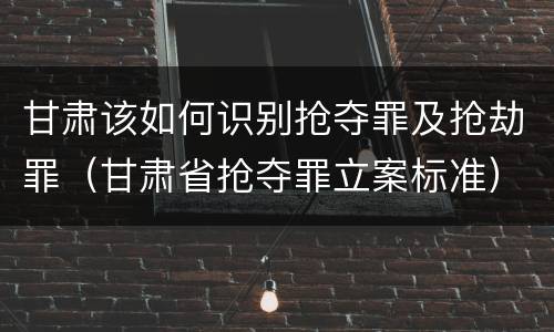甘肃该如何识别抢夺罪及抢劫罪（甘肃省抢夺罪立案标准）