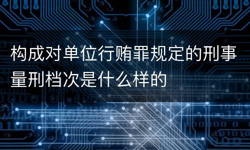 构成对单位行贿罪规定的刑事量刑档次是什么样的
