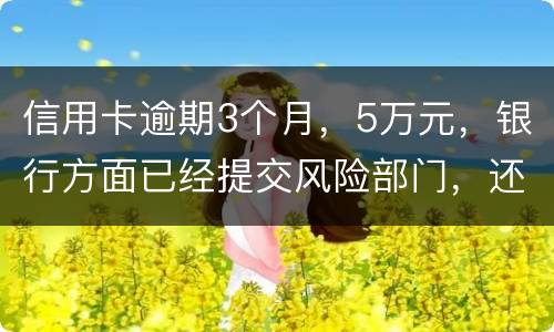 信用卡逾期3个月，5万元，银行方面已经提交风险部门，还不上什么办