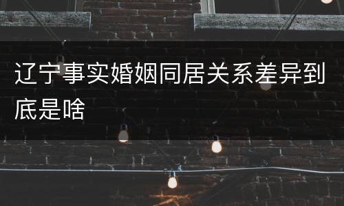 辽宁事实婚姻同居关系差异到底是啥