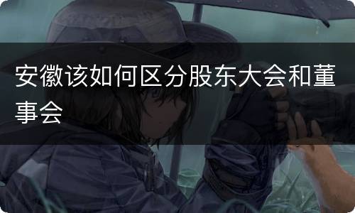 安徽该如何区分股东大会和董事会