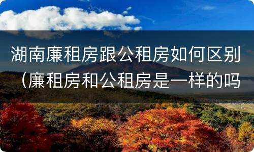 湖南廉租房跟公租房如何区别（廉租房和公租房是一样的吗）