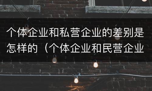 个体企业和私营企业的差别是怎样的（个体企业和民营企业的区别）