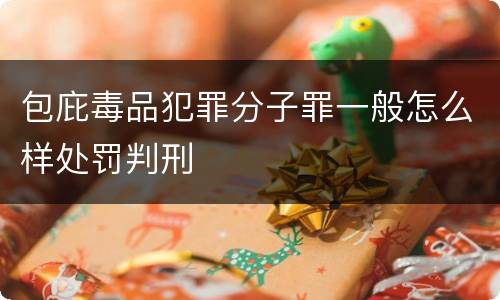 包庇毒品犯罪分子罪一般怎么样处罚判刑