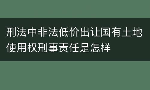 刑法中非法低价出让国有土地使用权刑事责任是怎样