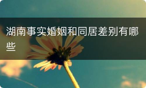 湖南事实婚姻和同居差别有哪些