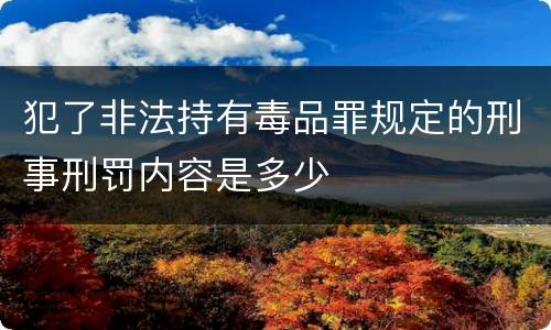 犯了非法持有毒品罪规定的刑事刑罚内容是多少