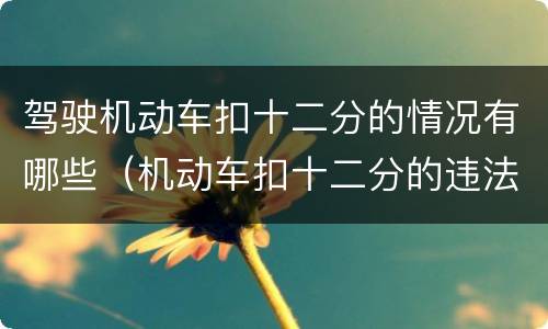 驾驶机动车扣十二分的情况有哪些（机动车扣十二分的违法有哪些）