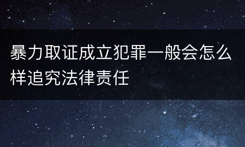 暴力取证成立犯罪一般会怎么样追究法律责任