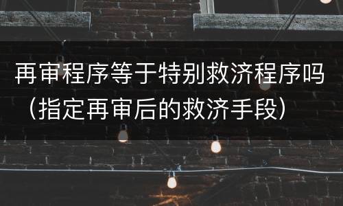 再审程序等于特别救济程序吗（指定再审后的救济手段）