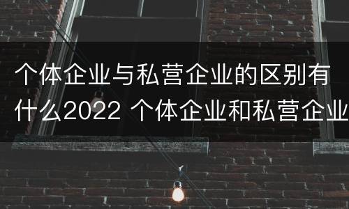 个体企业与私营企业的区别有什么2022 个体企业和私营企业