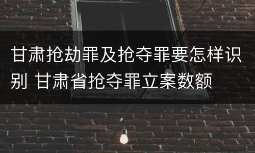甘肃抢劫罪及抢夺罪要怎样识别 甘肃省抢夺罪立案数额
