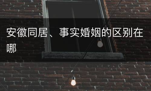 安徽同居、事实婚姻的区别在哪