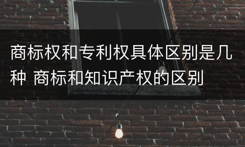 商标权和专利权具体区别是几种 商标和知识产权的区别