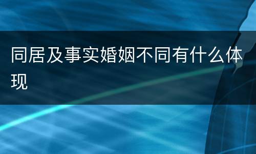 同居及事实婚姻不同有什么体现