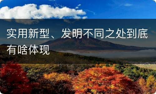 实用新型、发明不同之处到底有啥体现
