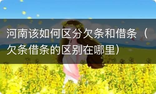 河南该如何区分欠条和借条（欠条借条的区别在哪里）