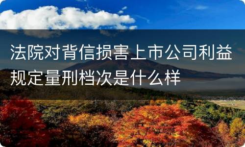 法院对背信损害上市公司利益规定量刑档次是什么样