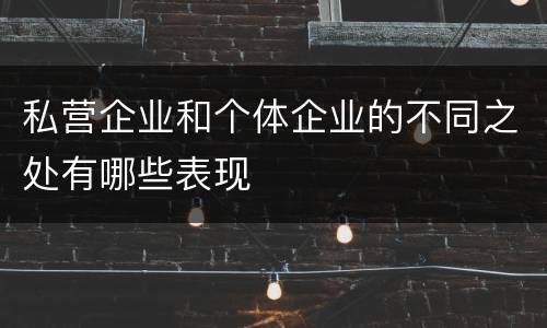 私营企业和个体企业的不同之处有哪些表现
