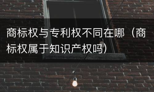 商标权与专利权不同在哪（商标权属于知识产权吗）