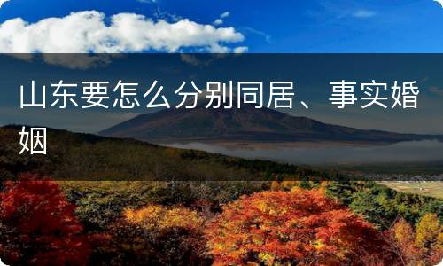 山东要怎么分别同居、事实婚姻