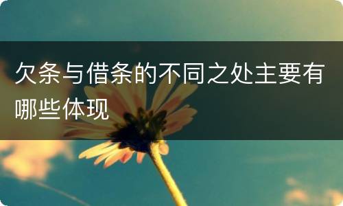 欠条与借条的不同之处主要有哪些体现