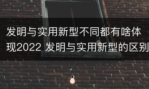 发明与实用新型不同都有啥体现2022 发明与实用新型的区别有