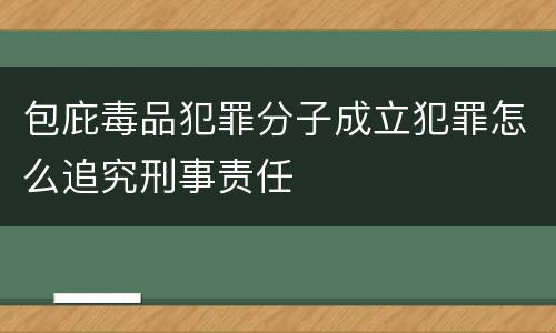 包庇毒品犯罪分子成立犯罪怎么追究刑事责任