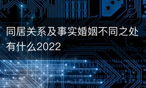 同居关系及事实婚姻不同之处有什么2022