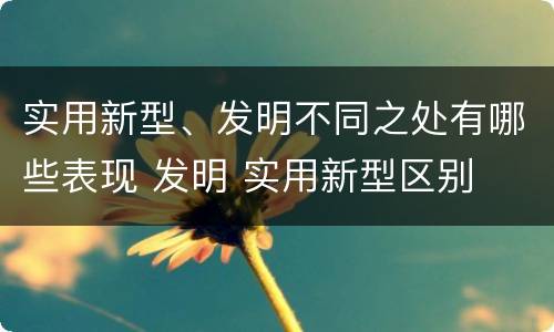 实用新型、发明不同之处有哪些表现 发明 实用新型区别