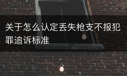 关于怎么认定丢失枪支不报犯罪追诉标准