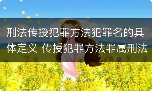 刑法传授犯罪方法犯罪名的具体定义 传授犯罪方法罪属刑法规定的