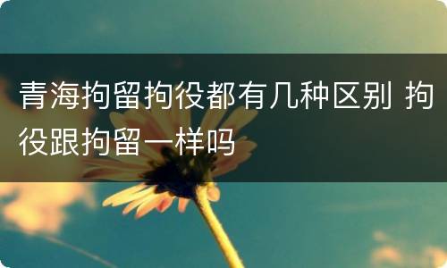 青海拘留拘役都有几种区别 拘役跟拘留一样吗