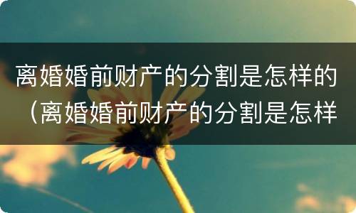 离婚婚前财产的分割是怎样的（离婚婚前财产的分割是怎样的法律规定）