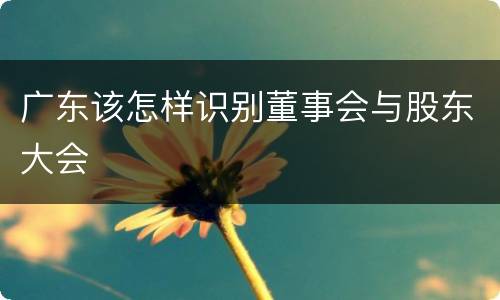 广东该怎样识别董事会与股东大会