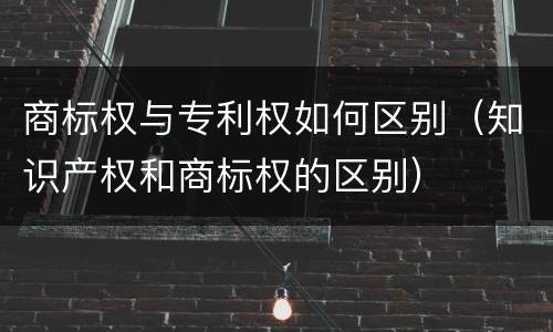 商标权与专利权如何区别（知识产权和商标权的区别）