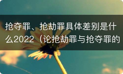 抢夺罪、抢劫罪具体差别是什么2022（论抢劫罪与抢夺罪的界限）