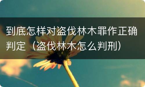 到底怎样对盗伐林木罪作正确判定（盗伐林木怎么判刑）