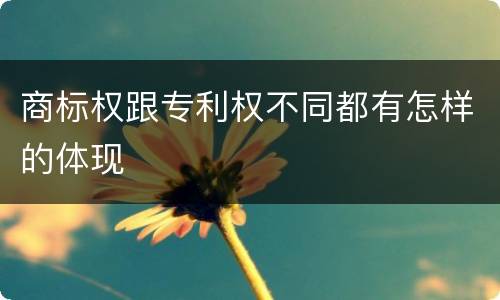 商标权跟专利权不同都有怎样的体现