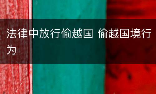 法律中放行偷越国 偷越国境行为