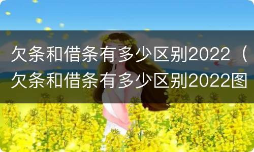 欠条和借条有多少区别2022（欠条和借条有多少区别2022图片）