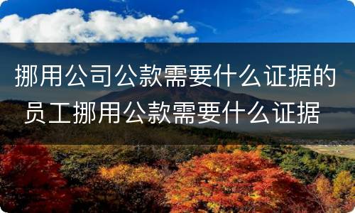 挪用公司公款需要什么证据的 员工挪用公款需要什么证据