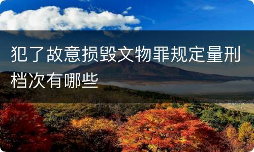 犯了故意损毁文物罪规定量刑档次有哪些