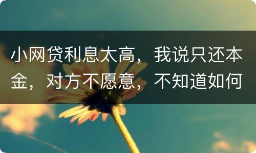 小网贷利息太高，我说只还本金，对方不愿意，不知道如何是好