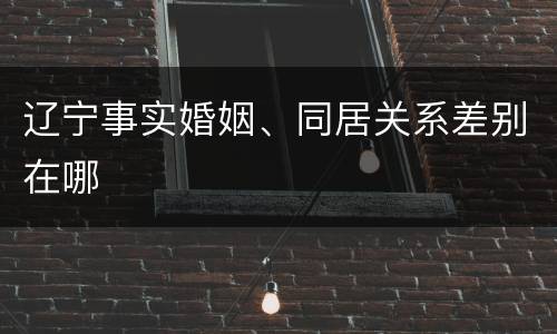 辽宁事实婚姻、同居关系差别在哪
