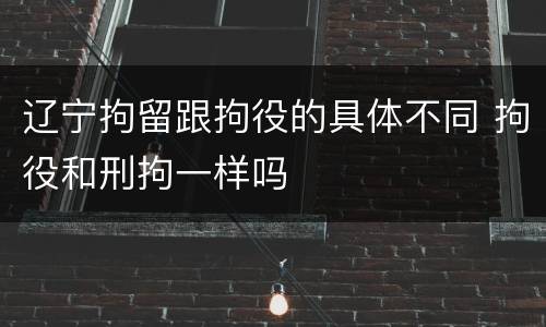 辽宁拘留跟拘役的具体不同 拘役和刑拘一样吗